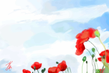 Poppies, against, the, sky, |, hanei, , , , , , , , , , , , , , , picture