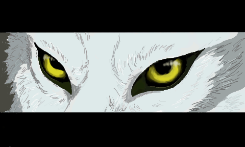 Wolf, |, , , , Oo, , , picture