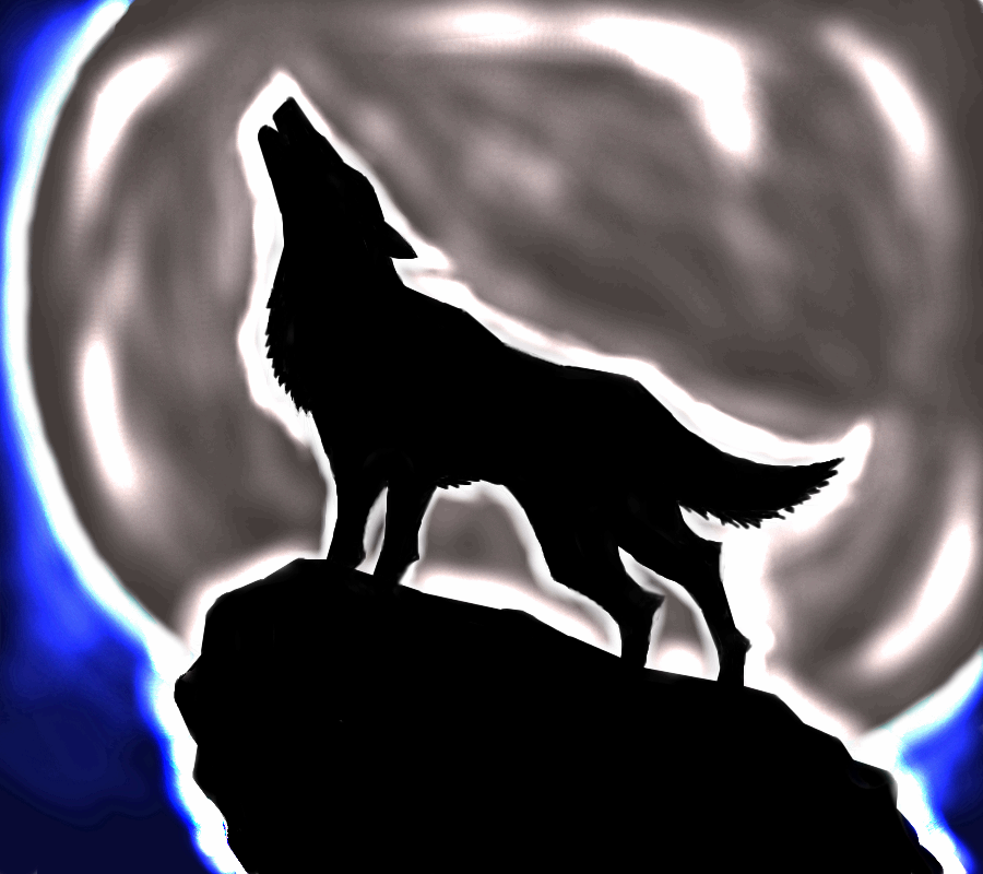 Wolf, |, _Torn@do_, , , , , picture