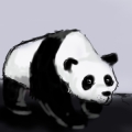 panda dawa