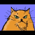 Dwarven Cat